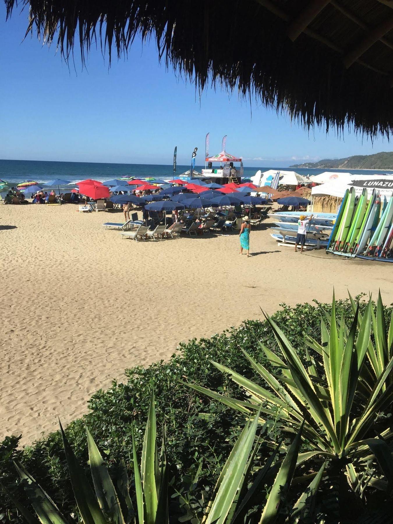 Hotel Y Suites Los Encantos 사율리타 외부 사진